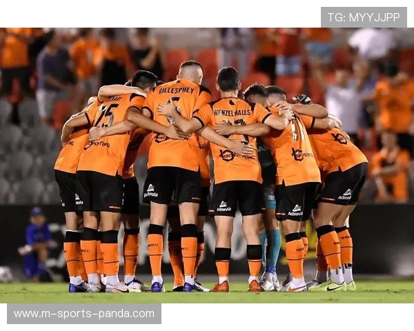 墨尔本城客场逆转蔚山HD 澳超球队展现顽强战斗力 墨尔本城客场逆转蔚山HD 澳超球队展现顽强战斗力